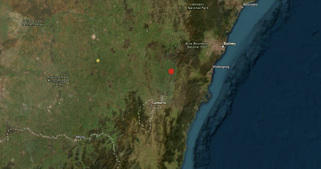 Magnitude 3.9 earthquake shakes southeast in early morning hours